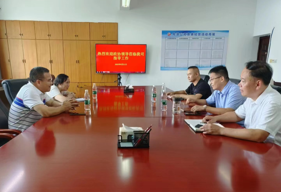 鷹潭市政協(xié)領導調(diào)研鷹潭公司 肖良芝陪同